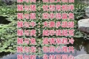 猴双子女和什么星座最配_猴双子女性格特点