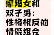 魔羯双子魔羯天空_性格差异还是互补