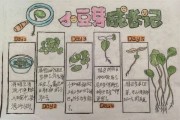 天蝎座豆芽怎么种_天蝎座豆芽几天发芽