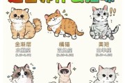 天蝎座适合养什么宠物_天蝎座猫咪性格特点