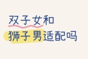 狮子男双子女配对指数_狮子男双子女合适吗