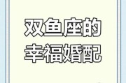 双鱼座适合什么星座_双鱼座最佳配对