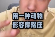 魔羯逗比是什么_魔羯座幽默表现有哪些