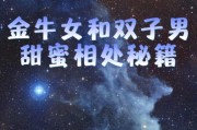 双子女与金牛男工作合得来吗_如何高效协作