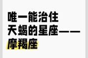 魔羯座爱情忠贞吗_魔羯座出轨概率高吗