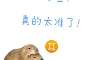 15岁双子女怎么沟通_双子女青春期心理特点