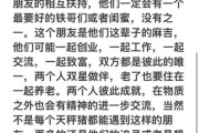 鸡天秤男和猪双子女配吗_相处难点在哪