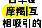 属羊魔羯男性格特点_如何相处