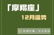 魔羯座十二月幸运色是什么_如何搭配提升运势