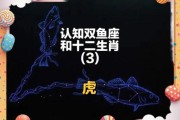 属虎双鱼座性格特点_属虎双鱼座运势如何