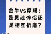 金牛和魔羯适合在一起吗_如何相处更长久