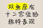 双鱼座12宫代表什么_12宫双鱼性格解析