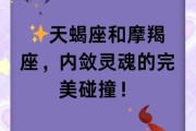 魔羯和魔羯工作配合默契吗_如何提升效率