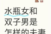 水瓶男双子女谁虐谁_双子女水瓶男谁更狠