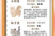 天蝎座猫猫性格特点_如何与天蝎座猫咪相处