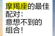 魔羯座和魔羯座配吗_魔羯座配对指数