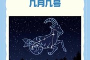 画迷魔羯是什么_如何解读画迷魔羯
