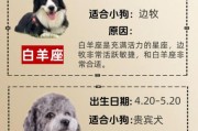 天蝎座适合养什么狗_天蝎座适合养什么狗品种