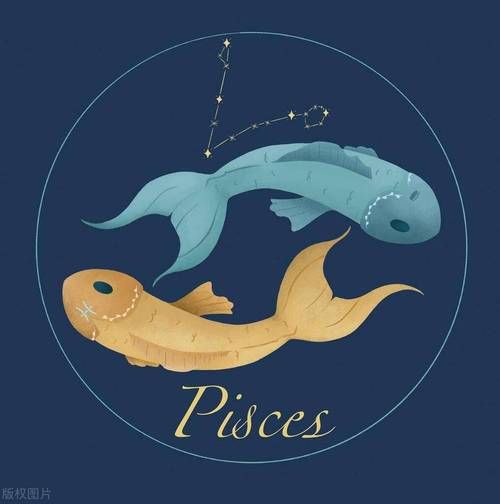 双鱼座黑化表现_如何与黑化双鱼相处