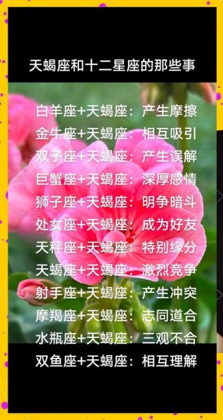 天蝎座小瓶子是什么_如何与天蝎座小瓶子相处