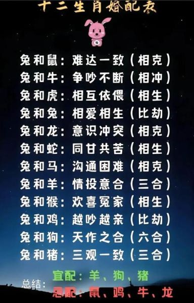 属兔B型血双子女性格特点_如何相处