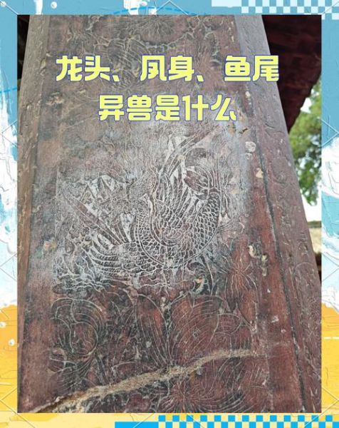 魔羯鱼龙化石特征_为什么灭绝