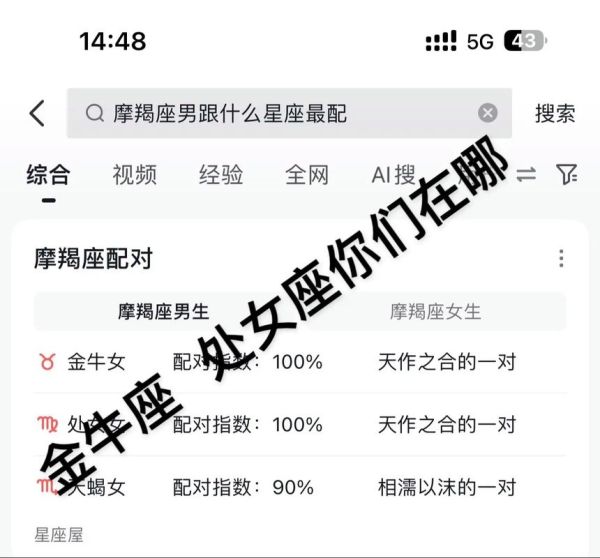 魔羯男和魔羯女配对指数_适合结婚吗