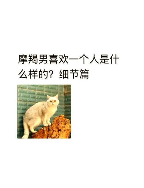魔羯男喜欢一个人会说吗_如何分辨他的真心