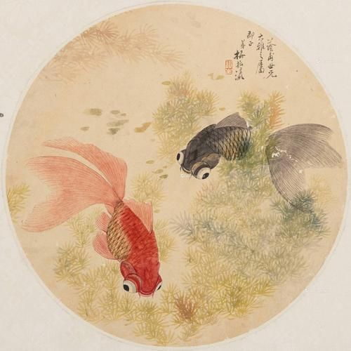 曹双鱼是谁_曹双鱼作品有哪些