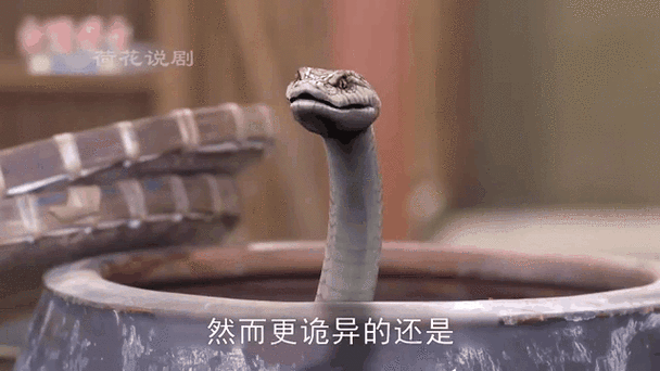 蛇双子女2022运势_蛇双子女2022感情走向