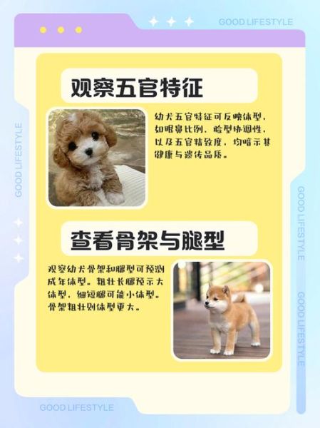 魔羯男小奶狗_如何分辨真假