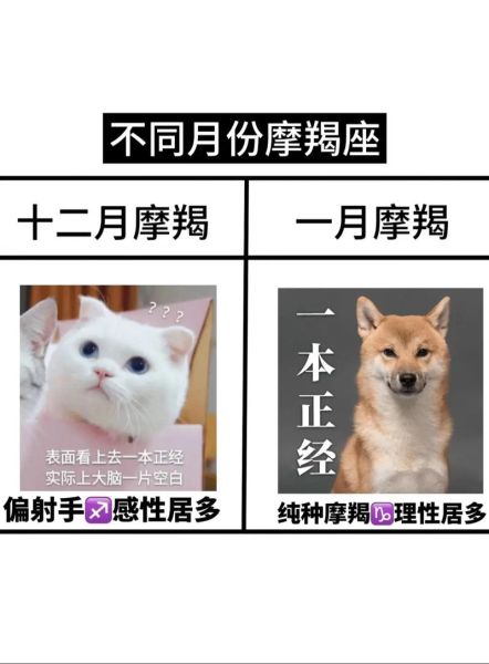 魔羯座是摩羯座吗_魔羯座和摩羯座区别