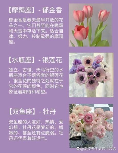 天蝎座象征花是什么_天蝎座守护花语大全