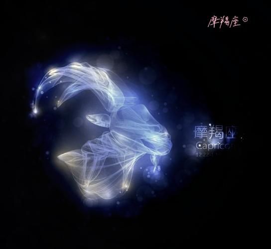 魔羯才懂魔羯的美吗_如何欣赏魔羯座的独特魅力