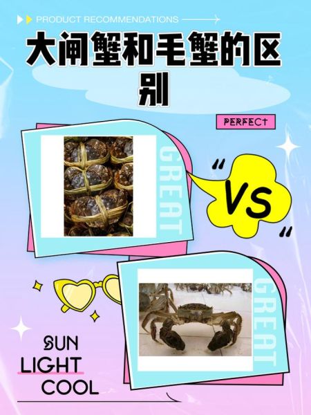 毛蟹和天蝎座的性格匹配吗_毛蟹天蝎座相处技巧