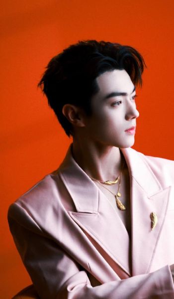 许凯双鱼座性格特点_许凯双鱼座感情观