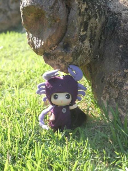 天蝎座棉花娃娃哪里买_天蝎座棉花娃娃多少钱