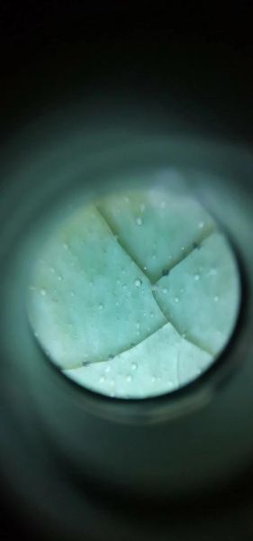 龙泉窑双鱼盘价格_龙泉窑双鱼盘鉴定方法