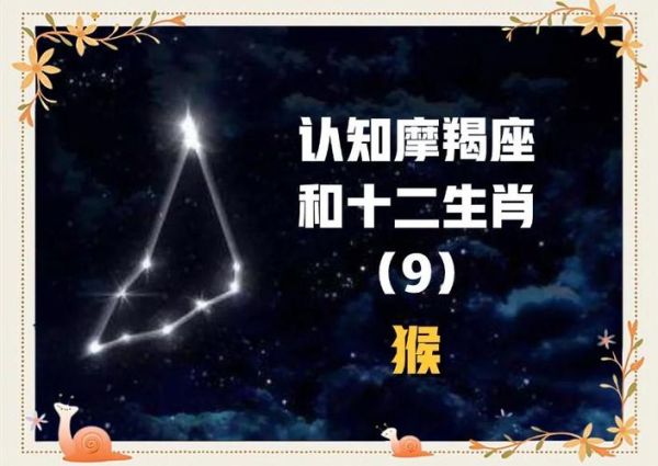 属猴的魔羯座性格特点_属猴魔羯座2024运势如何