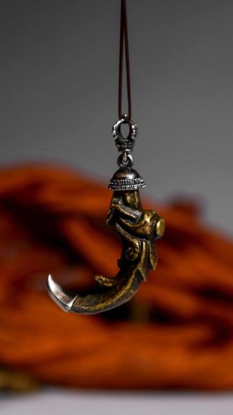 魔羯龙是什么_魔羯龙性格特点