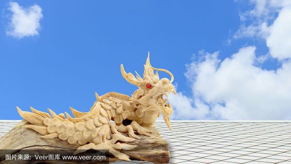 魔羯龙是什么_魔羯龙性格特点