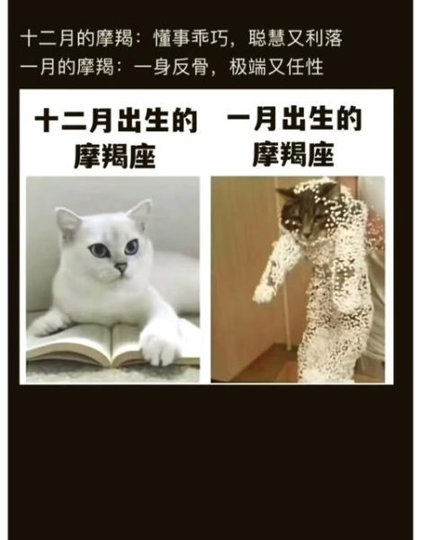 魔羯座的守护者是什么_土星象征意义