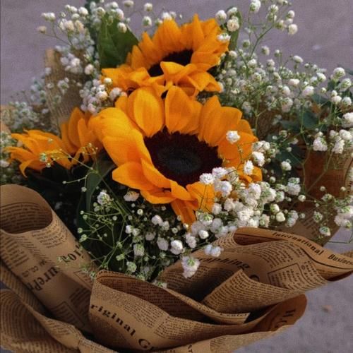 天蝎座生辰花是什么_天蝎座适合养什么花