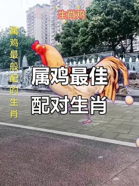 属鸡魔羯女性格特点_如何与她们相处