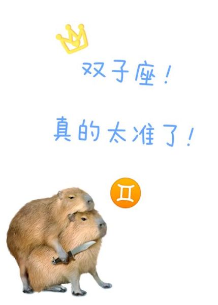 高阶双子女性格特点_如何与双子女相处