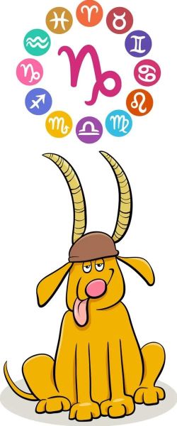 魔羯座2017财运如何_魔羯座2017年怎么提升财运