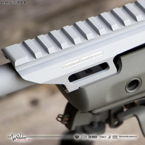 魔羯座专属枪是什么_魔羯座适合用什么枪