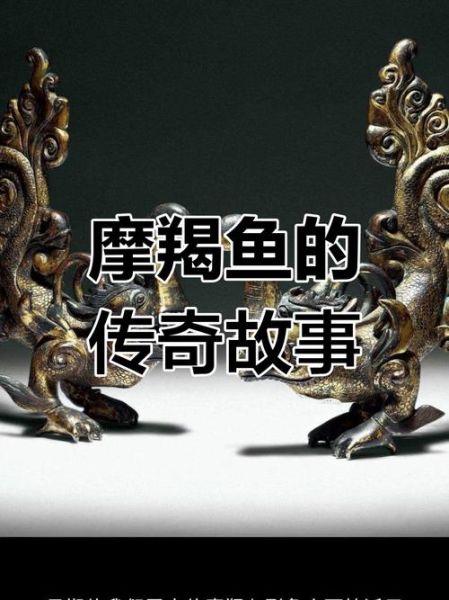 魔羯鲤鱼是什么_如何饲养魔羯鲤鱼