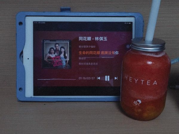 魔羯树怎么养_魔羯树多久浇一次水