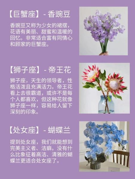 魔羯座适合养什么盆栽_如何挑选